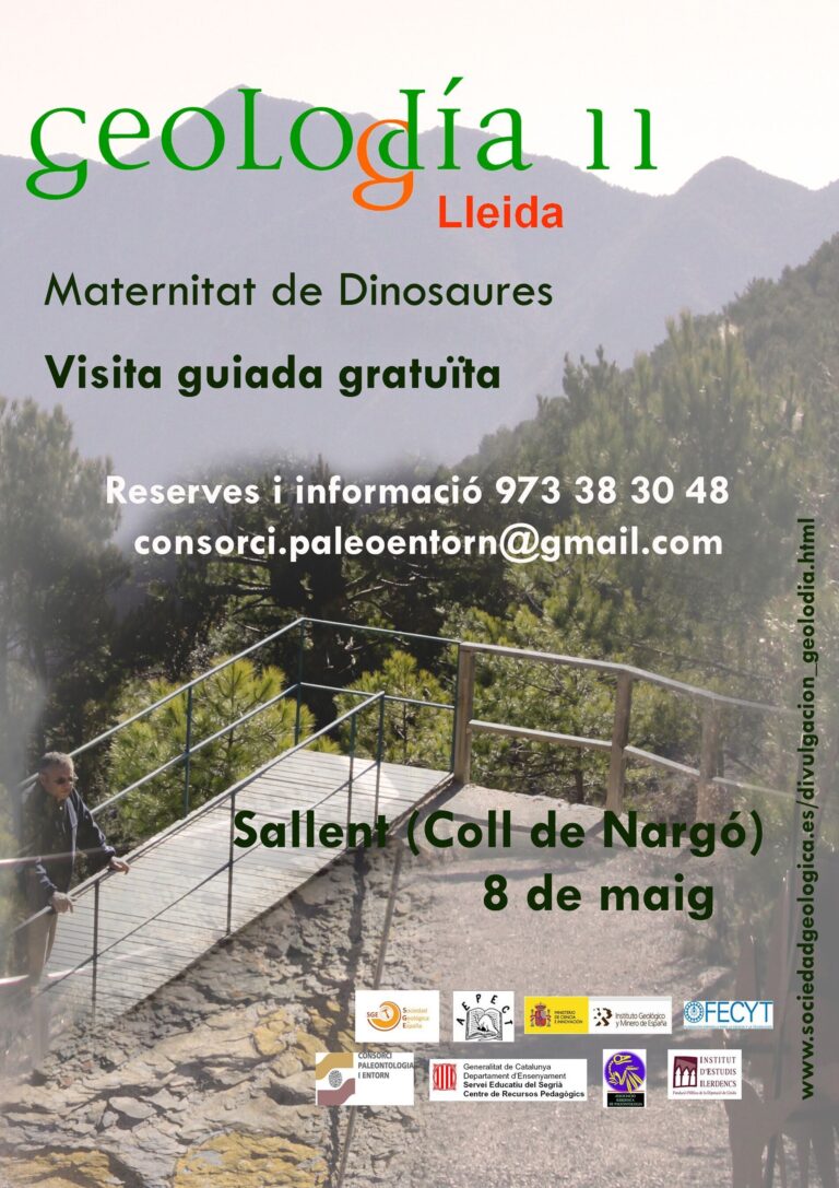 Cartel de Lleida/Lérida 2011