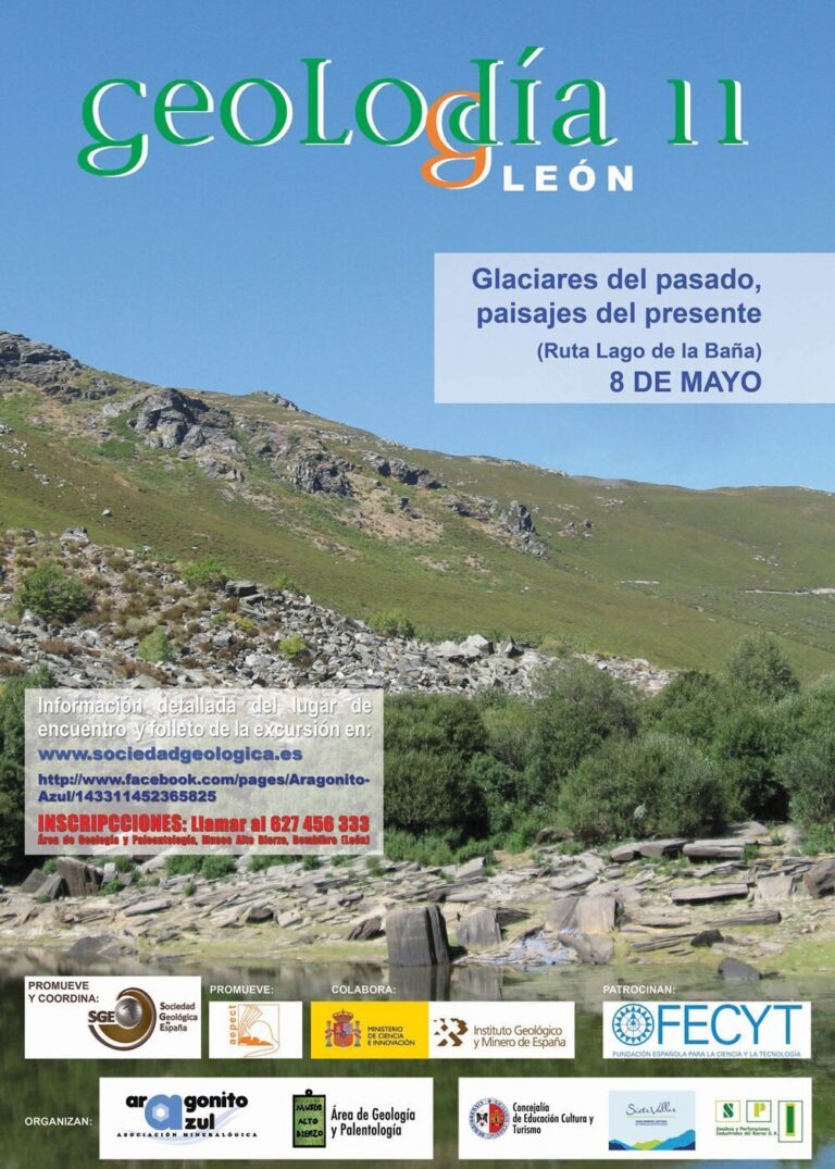 Cartel de León 2011