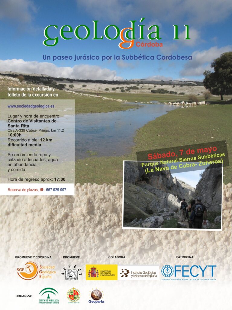 Cartel de Córdoba 2011