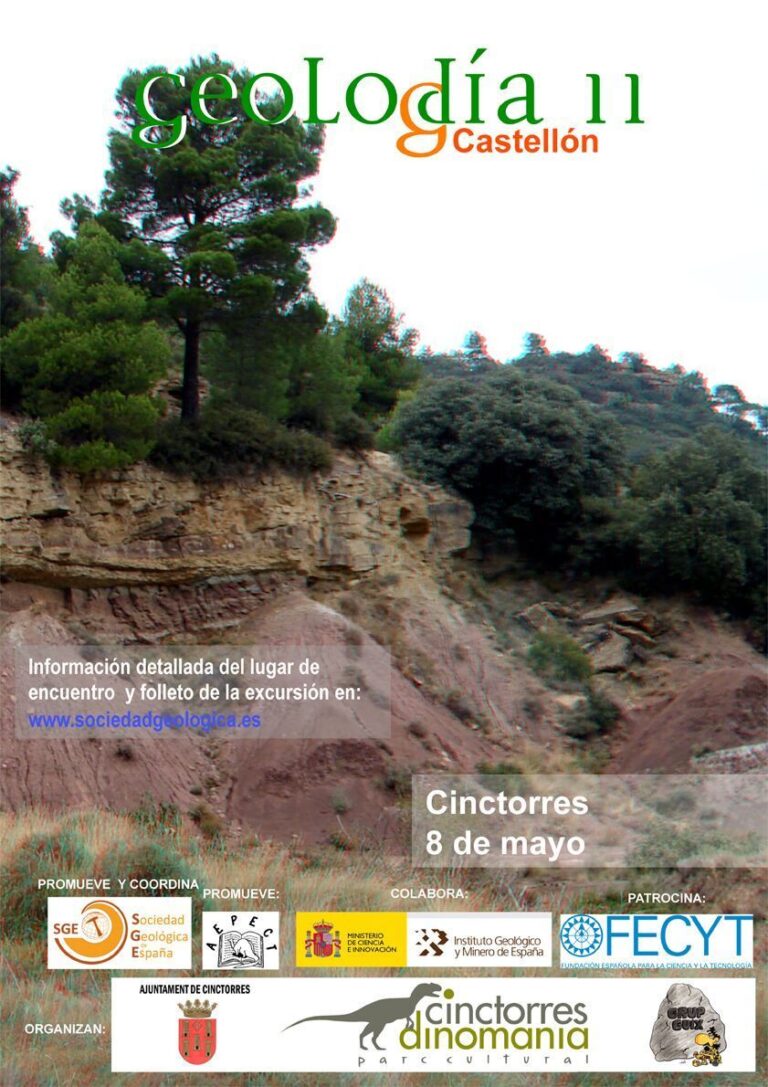 Cartel de Castellón 2011