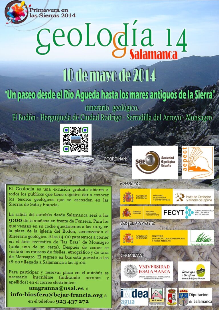 Cartel de Salamanca 2014