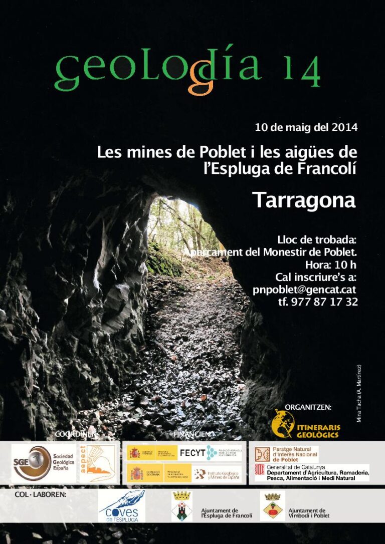 Cartel de Tarragona 2014