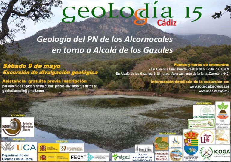 Cartel de Cádiz 2015