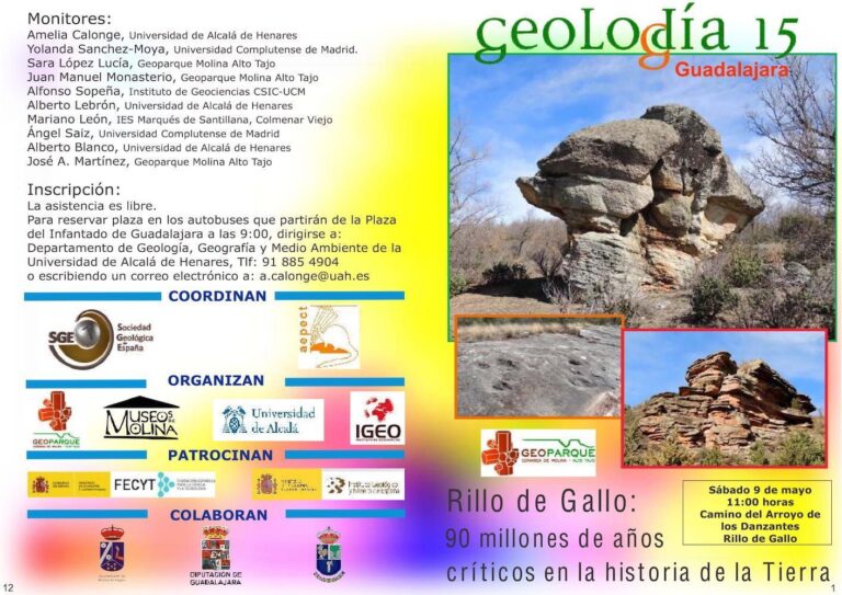 Cartel de Guadalajara 2015