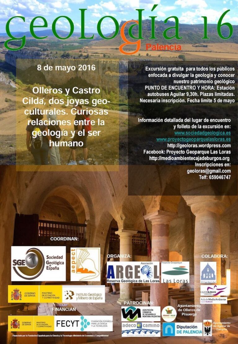 Cartel de Palencia 2016