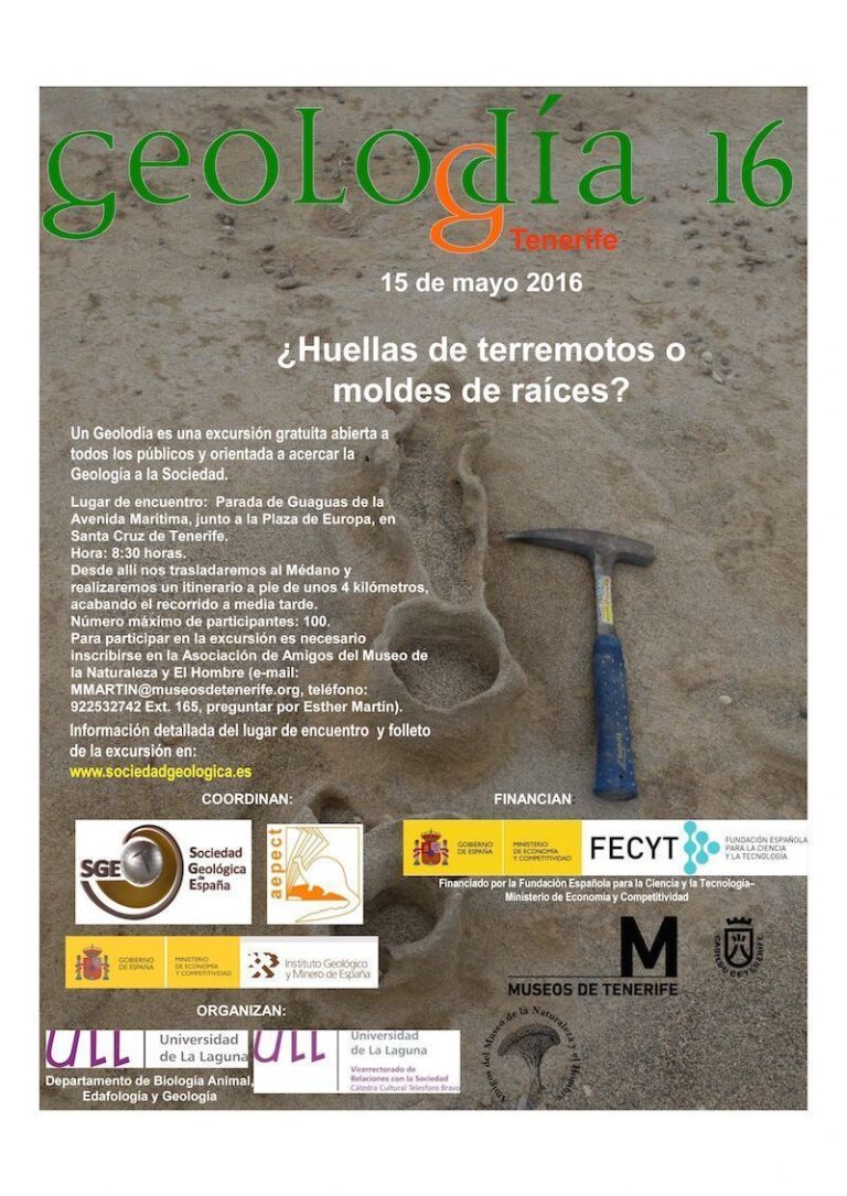 Cartel de Tenerife 2016