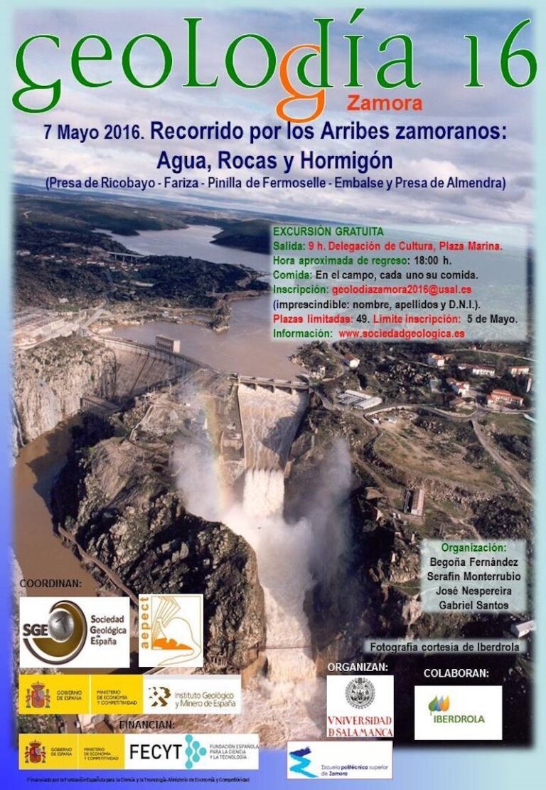 Cartel de Zamora 2016