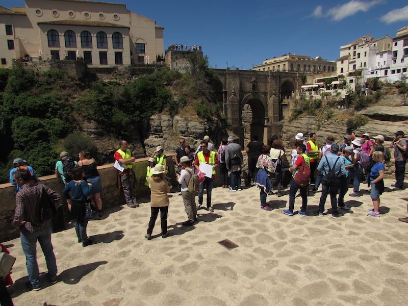Imagen de la galería de Málaga 2017
