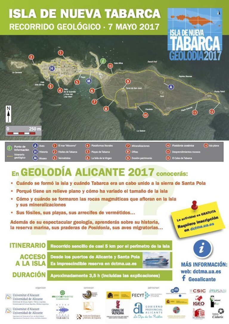 Cartel de Alicante 2017