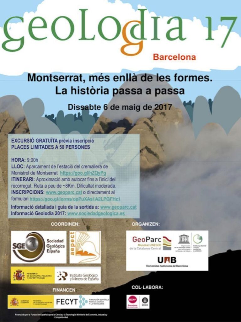 Cartel de Barcelona 2017