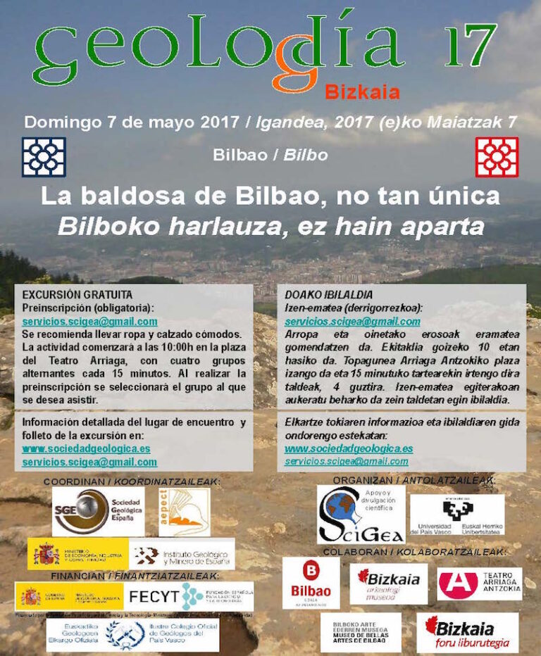 Cartel de Bizkaia/Vizcaya 2017
