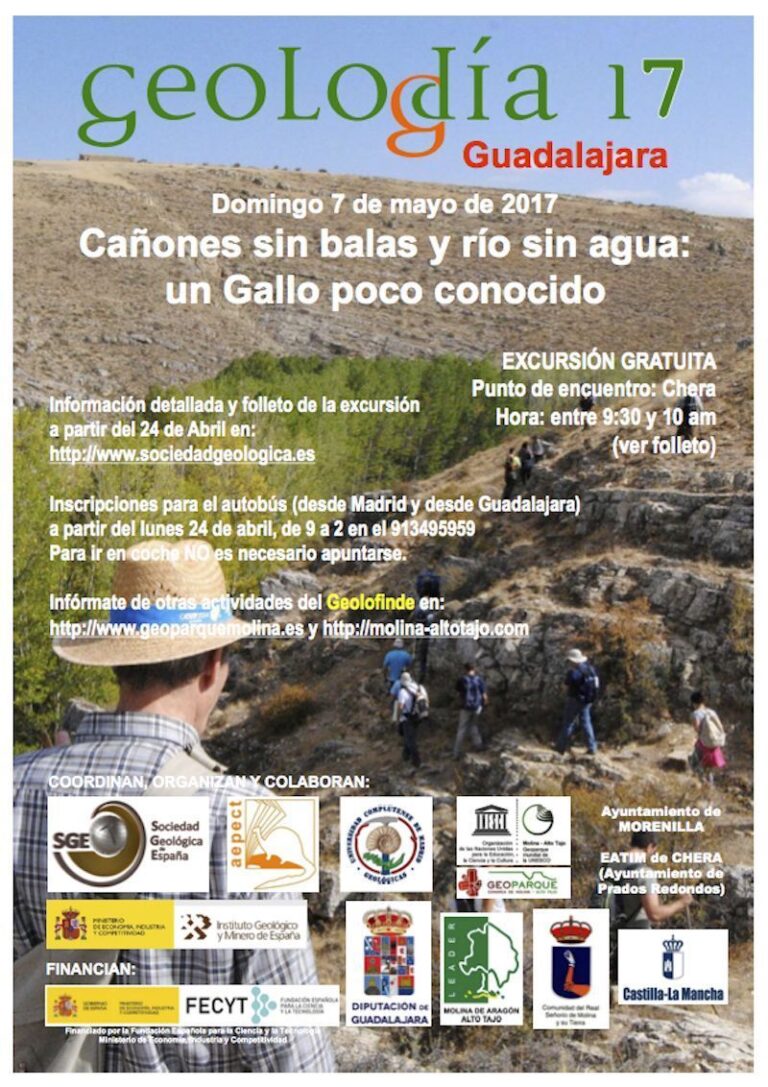 Cartel de Guadalajara 2017