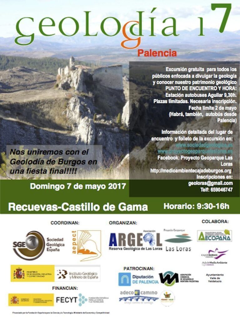 Cartel de Palencia 2017