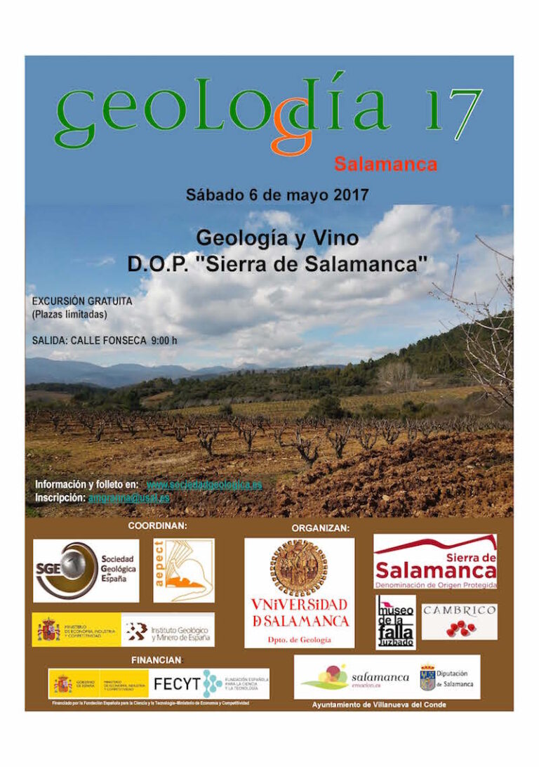 Cartel de Salamanca 2017