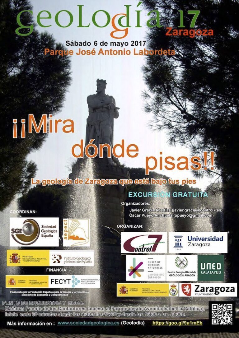 Cartel de Zaragoza 2017