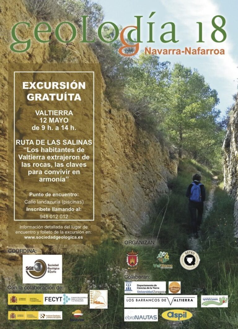 Cartel de Nafarroa/Navarra 2018