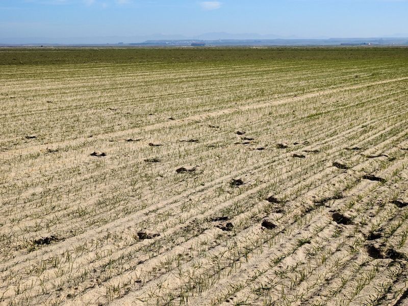 Imagen de la galería de Ávila 2019