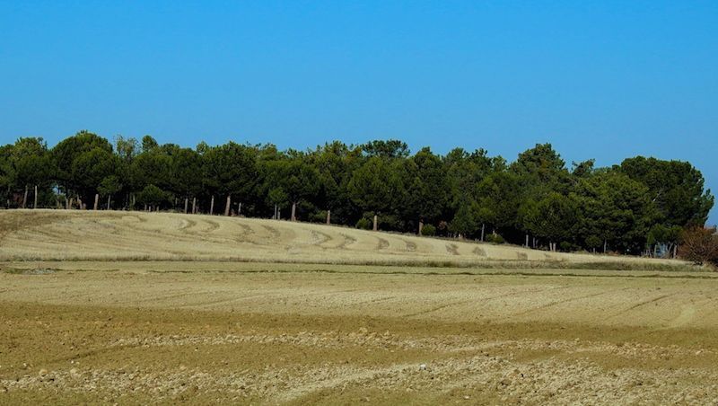 Imagen de la galería de Ávila 2019