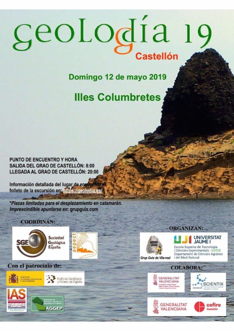 Cartel de Castellón 2019