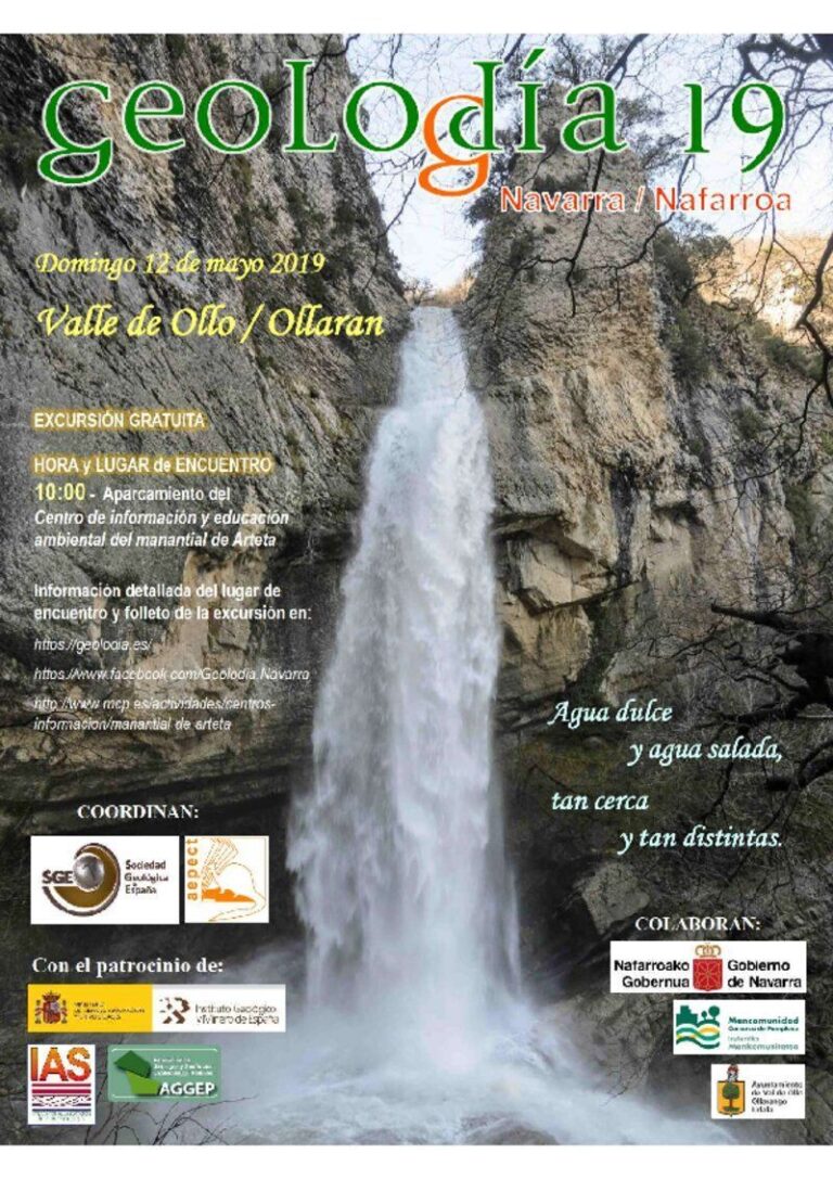 Cartel de Nafarroa/Navarra 2019