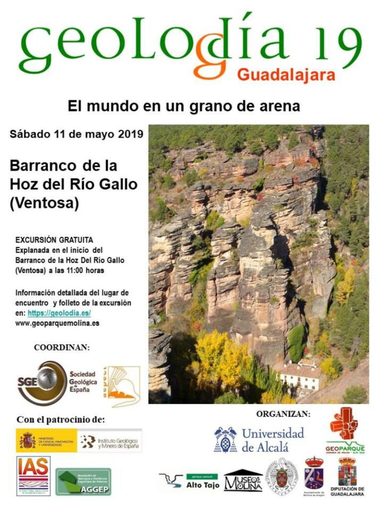 Cartel de Guadalajara 2019