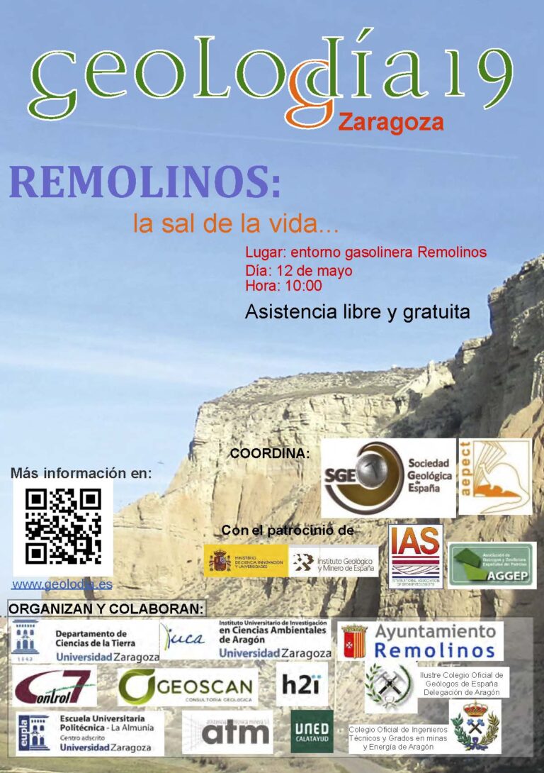 Cartel de Zaragoza 2019