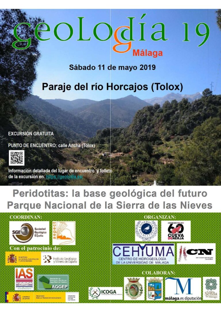 Cartel de Málaga 2019