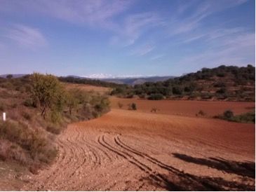 Imagen de la galería de Huesca 2019