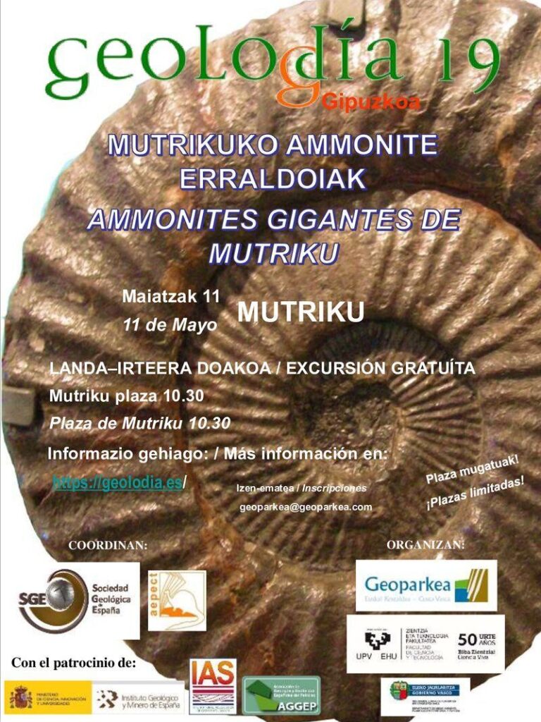 Cartel de Gipuzkoa/Guipúzcoa 2019