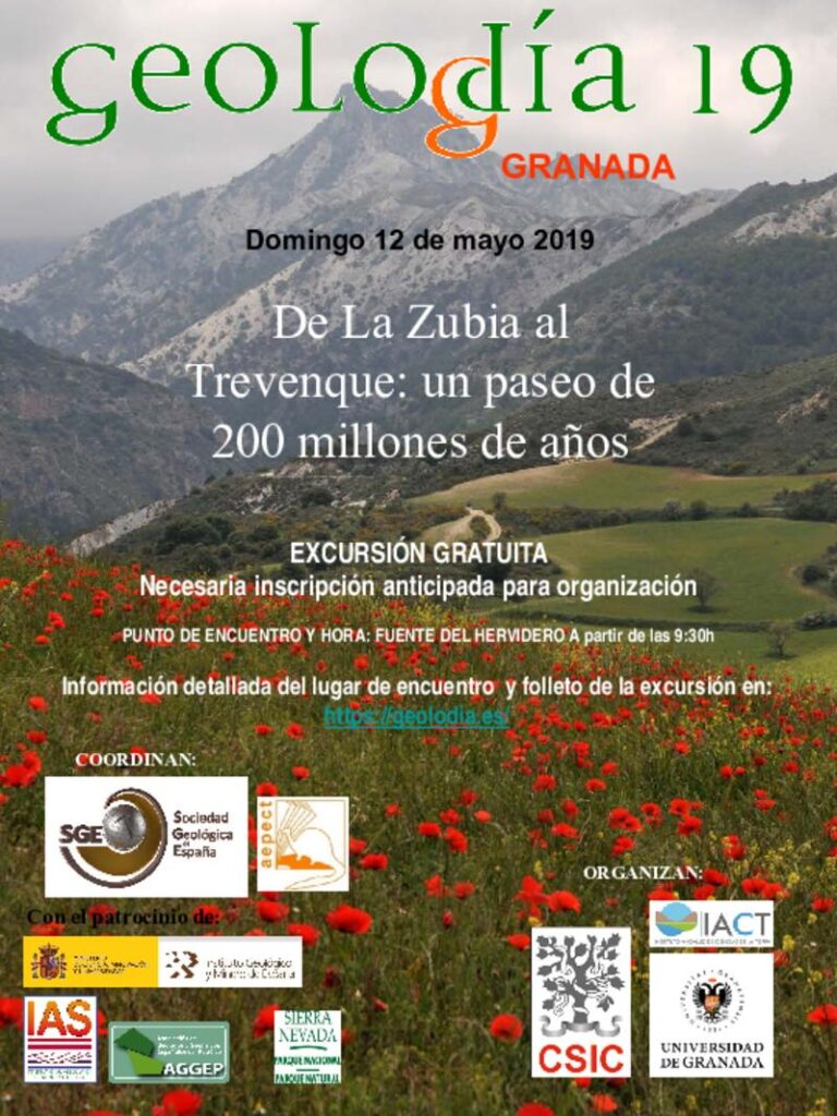 Cartel de Granada 2019