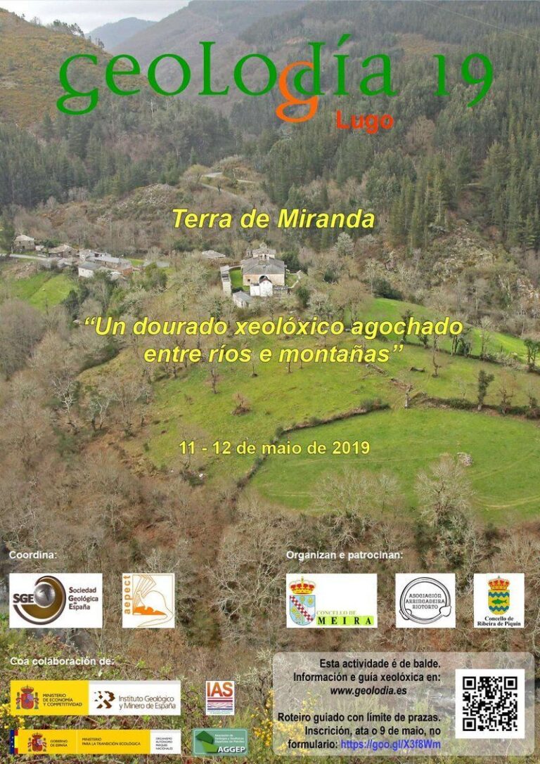 Cartel de Lugo 2019