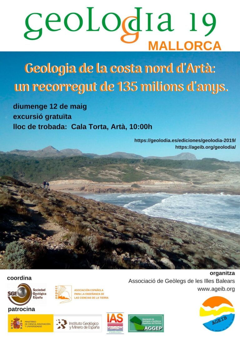 Cartel de Mallorca 2019