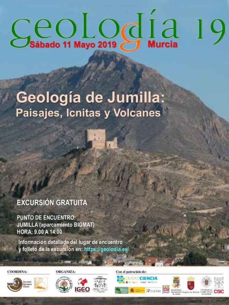 Cartel de Murcia 2019