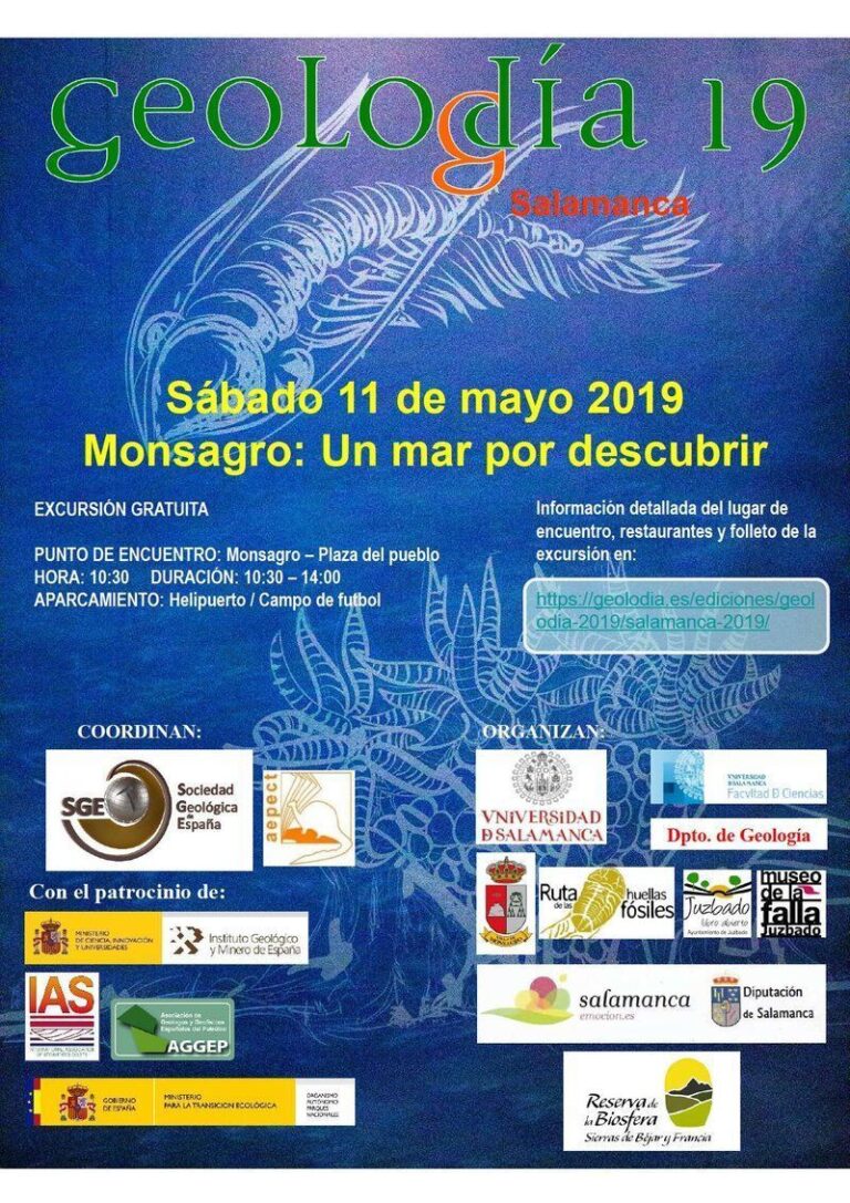 Cartel de Salamanca 2019