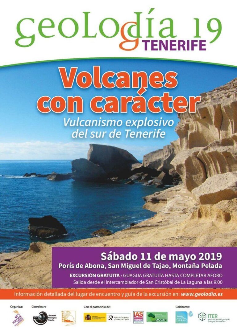 Cartel de Tenerife 2019