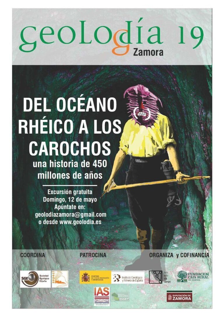 Cartel de Zamora 2019