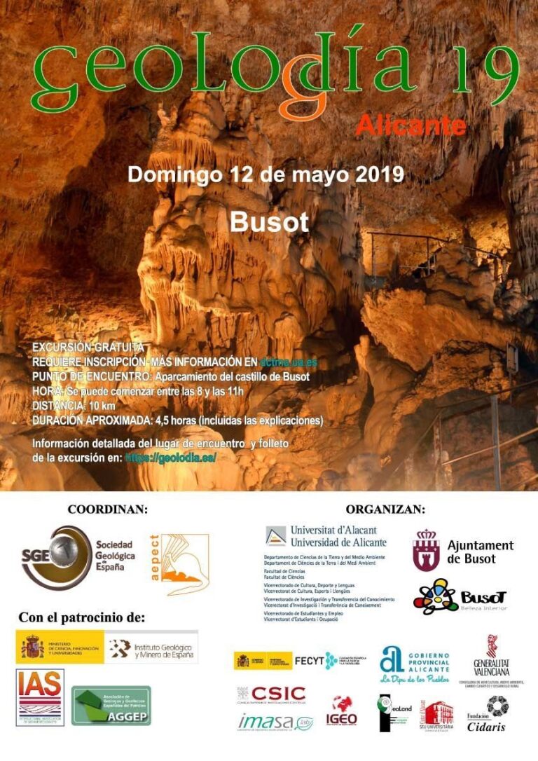 Cartel de Alicante 2019