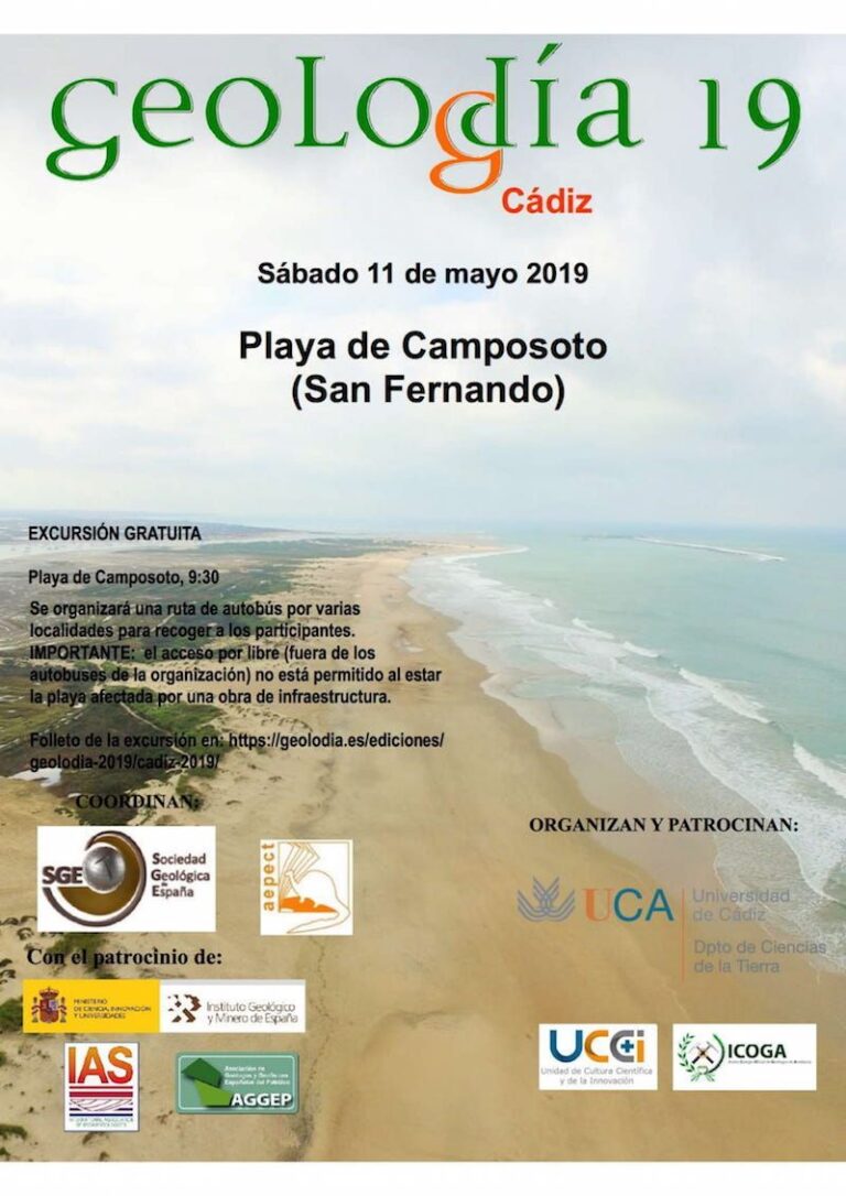 Cartel de Cádiz 2019