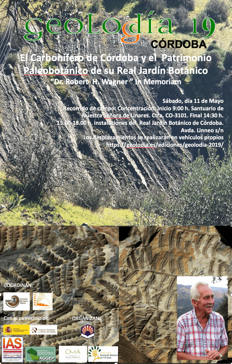 Cartel de Córdoba 2019