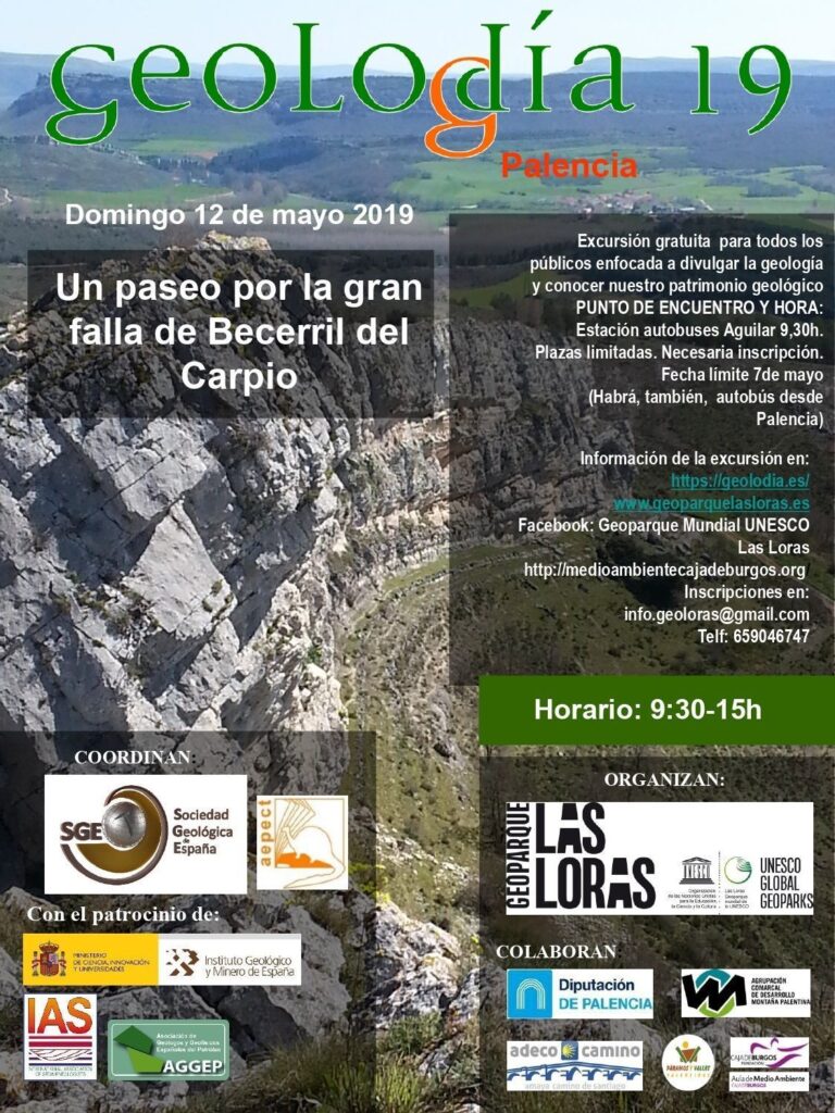 Cartel de Palencia 2019