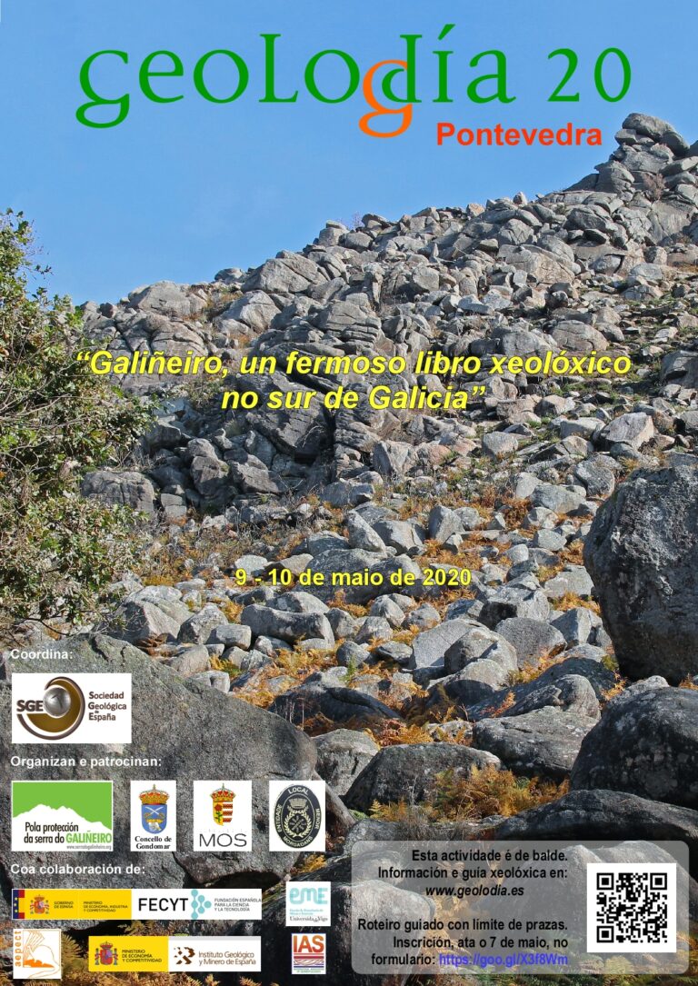 Cartel de Pontevedra 2020