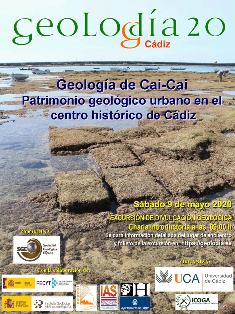 Cartel de Cádiz 2020