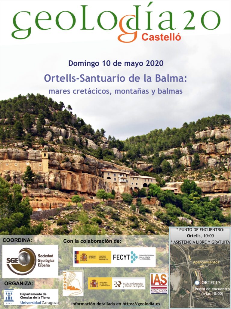 Cartel de Castellón 2020