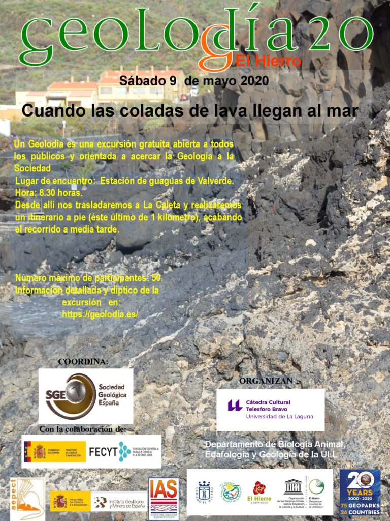 Cartel de El Hierro 2020