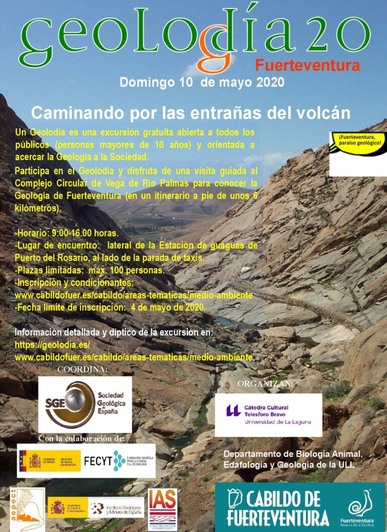 Cartel de Fuerteventura 2020