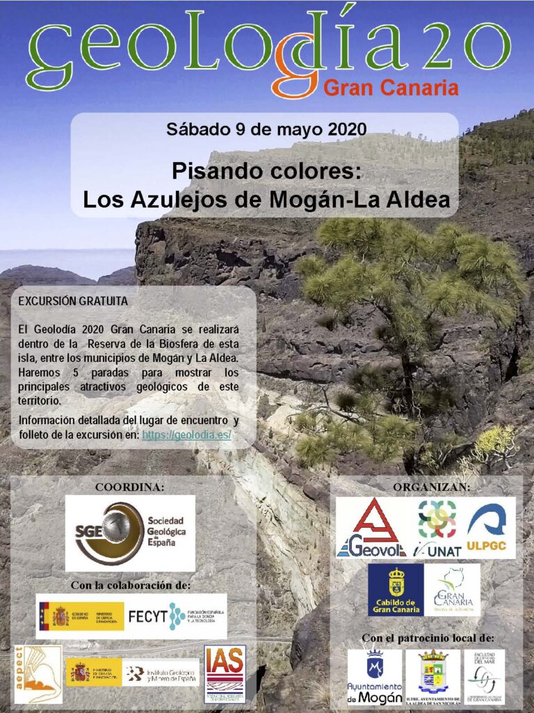 Cartel de Gran Canaria 2020