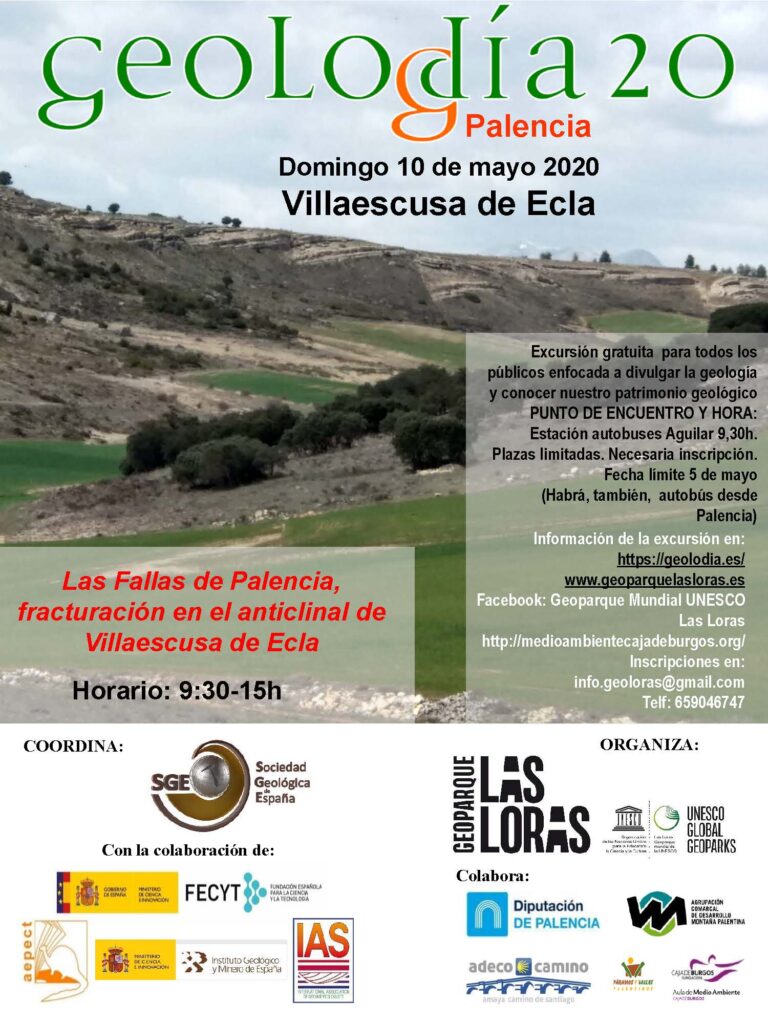 Cartel de Palencia 2020