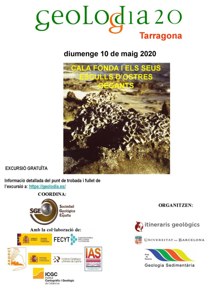 Cartel de Tarragona 2020