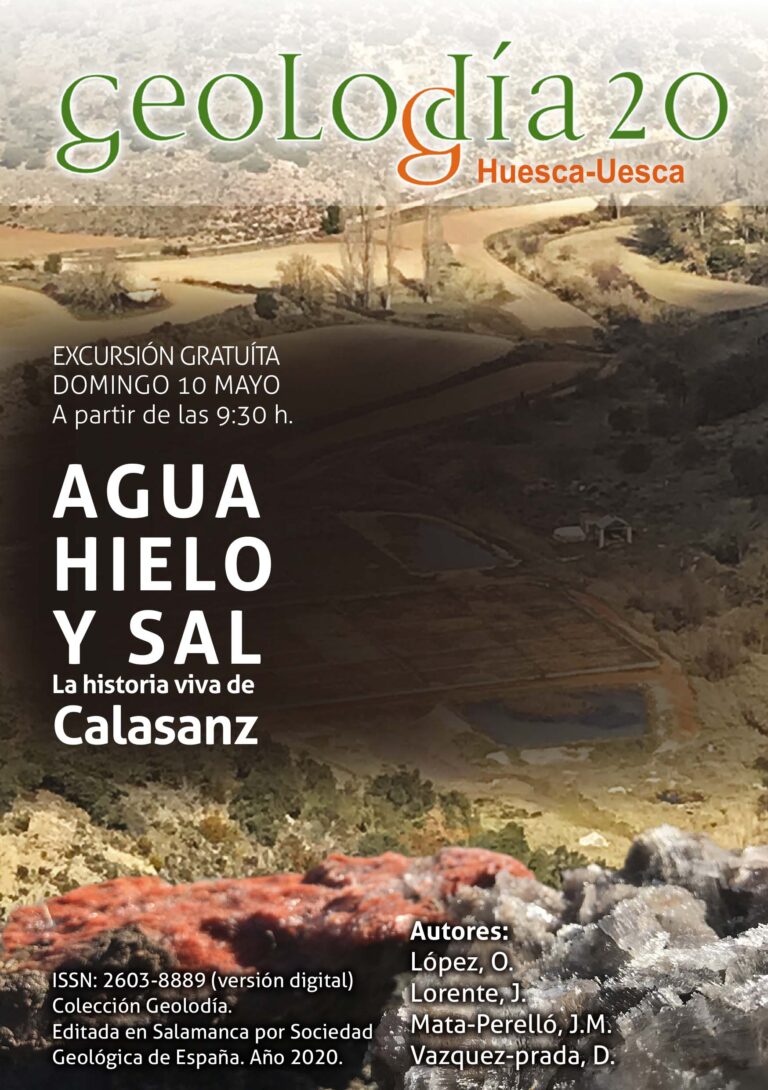 Cartel de Huesca/Uesca 2020