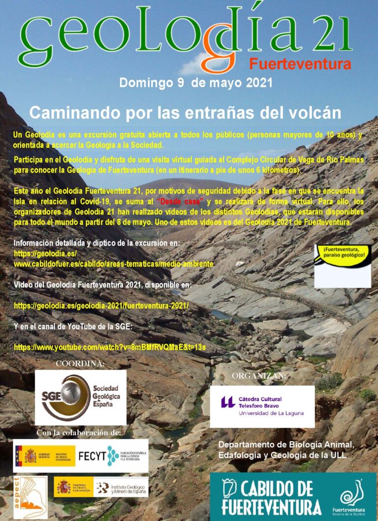 Cartel de Fuerteventura 2021